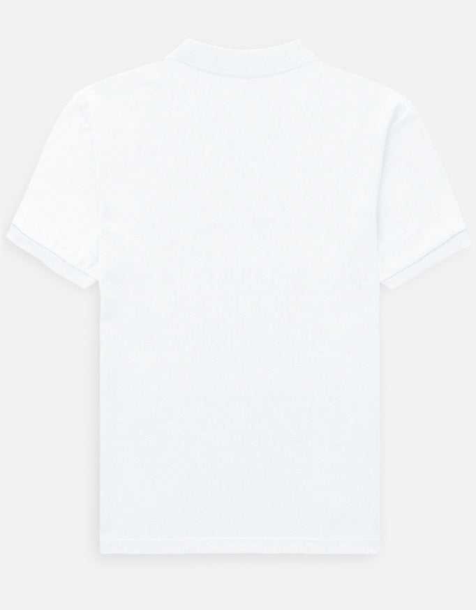 Back_3_c_1.jpg